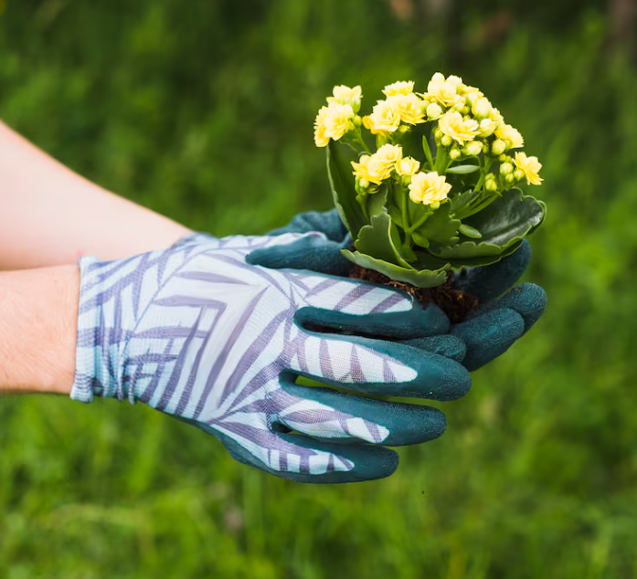Gardening Gloves