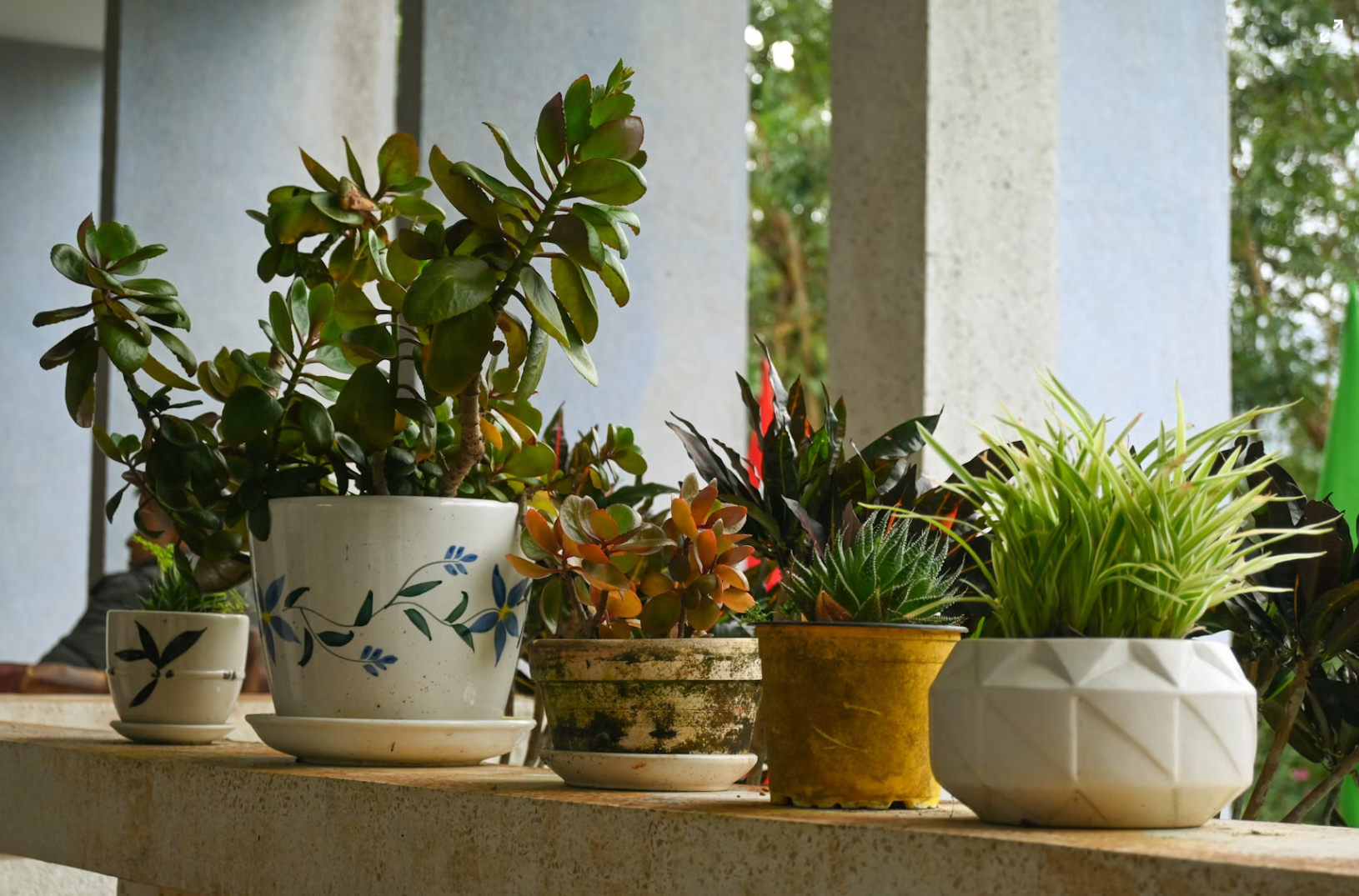 Ceramic Planters