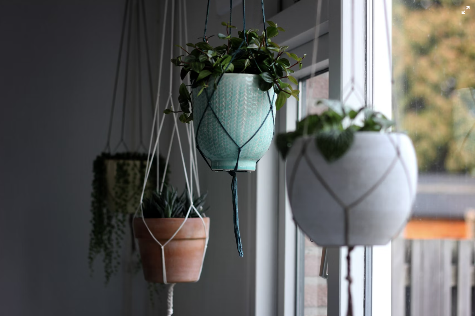 Hanging Planters