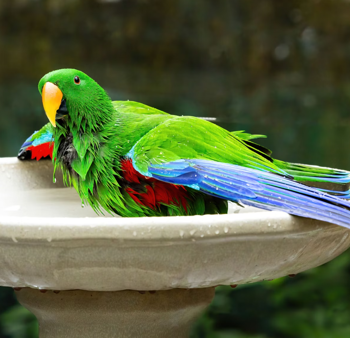 Bird & Wildlife Decor