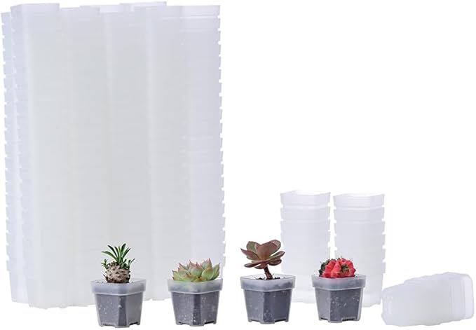 BangQiao 200 Pack 1.95 Inch Tiny Clear Plastic Square Nursery and Seedling Pot, Mini Transplant Seed Starter Planter with Drain Hole for Germination, Herb, Succulent
