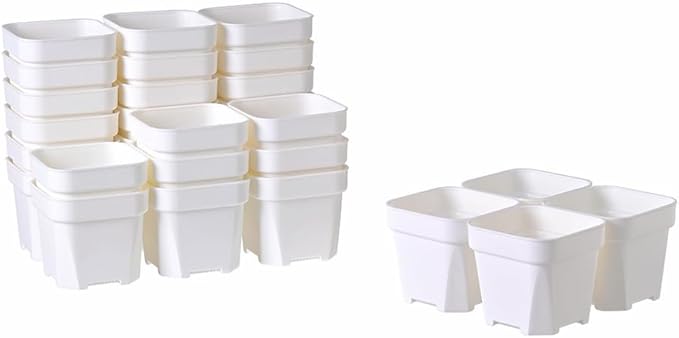 BangQiao 30 Pack 4.15 Inch White Plastic Square Nursery Seedlings Pot for Succulent, Cutting, Transplanting