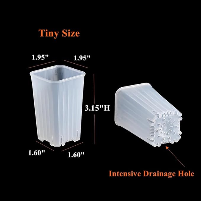 BangQiao 180 Pack 1.95 Inch Tiny Clear Plastic Square Nursery and Seedling Pot, Mini Deep Transplant Seed Starter Planter with Drain Hole for Germination, Herb, Succulent