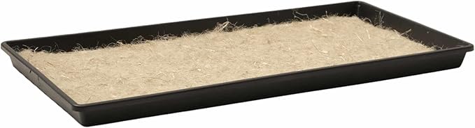 Bootstrap Farmer Microgreen Trays No Holes, 10 Pack, Extra Strength Black Shallow 1020 Tray Grow Microgreens Wheatgrass Fodder Sprouting Plants