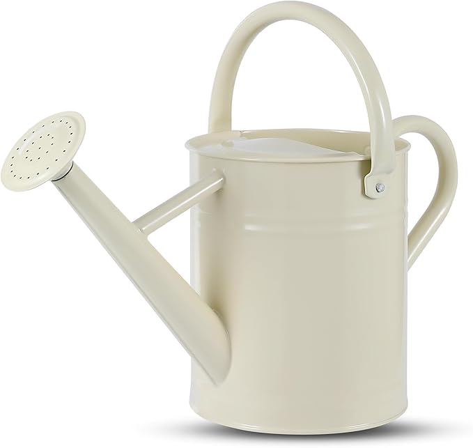 1 Gallon Watering Can for Plants, Watering Cans for Indoor&Outdoor Gardening, Galvanized Steel Watering Pot with Removable Spout, Metal Water Can with Ergonomic Movable Handle(White)