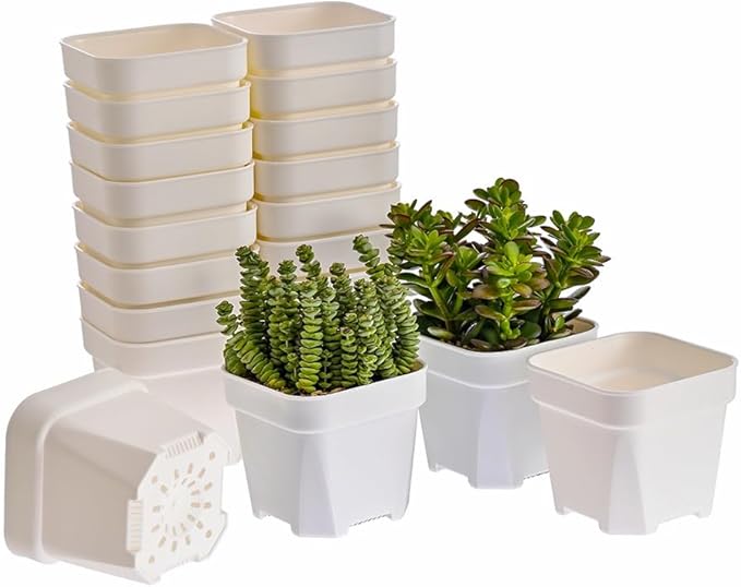 BangQiao 20 Pack 4.75 Inch Small White Plastic Square Nursery and Seedling Pot with Drainage Hole for Germination, Cactus, Herb, Succulent