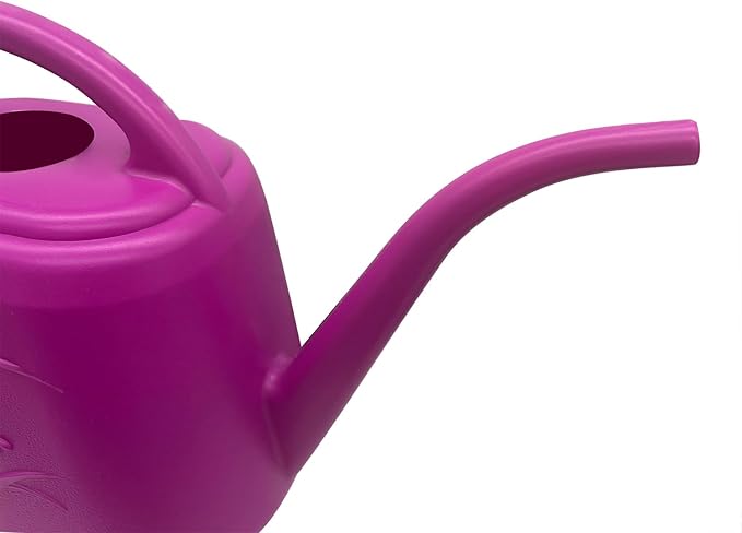 Plant Watering Can - 1/2 Gallon - Rose Red