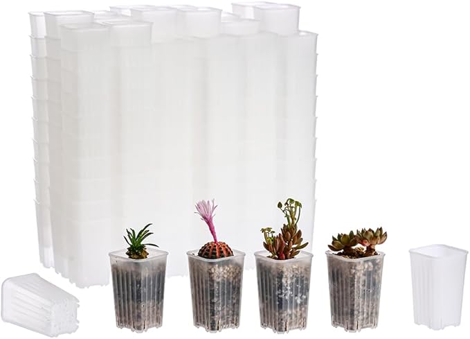 BangQiao 180 Pack 1.95 Inch Tiny Clear Plastic Square Nursery and Seedling Pot, Mini Deep Transplant Seed Starter Planter with Drain Hole for Germination, Herb, Succulent