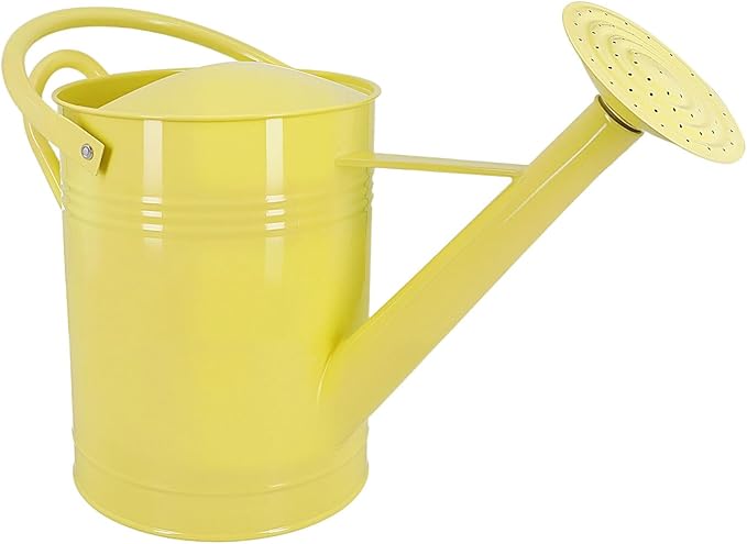 Galvanized Iron Watering Can for Indoor Plants, DIY Watering Cans for House Plant Garden Flower, Long Spout Water Can for Outdoor Watering Plants 6.44L 1.7Gallon (Beige)