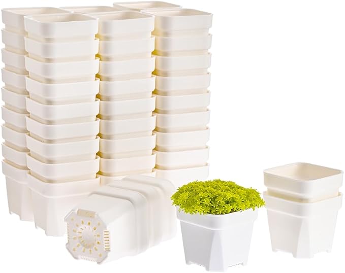 BangQiao 60 Pack 3.15 Inch Small White Plastic Square Nursery and Seedling Pot with Drainage Hole for Germination, Cactus, Herb, Succulent