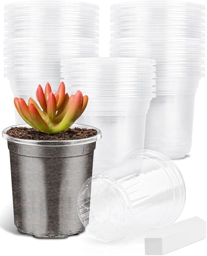 PACETAP 60Pack 3.5 Inch Reinforced Clear Nursery Pots with Drainage Holes, Variety Pack Plastic Plant Pots with 20 Plant Labels for Indoor Outdoor Flower Seed Starter
