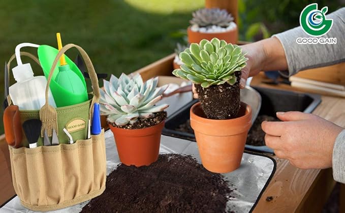 13 Pieces Succulent Tools Kit with Organizer Bag, Gardening Tool Set with Tote,Mini Succulent Garden Tool Kit Succulent Bonsai Planter Set Indoor Gardening,Miniature Indoor Fairy Planting Care Green
