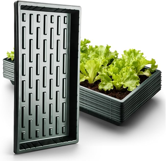 10 Pack Shallow 1020 Trays No Holes - Reusable 1.6" Deep Nursery Flats for 72/128 Cell Plug Tray, Heavy Duty Seed Starter Trays for Microgreens, Hydroponics & Seed Germination (Dark Green)