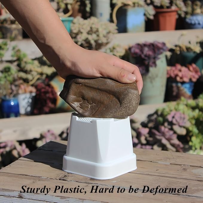 BangQiao 30 Pack 4.15 Inch White Plastic Square Nursery Seedlings Pot for Succulent, Cutting, Transplanting