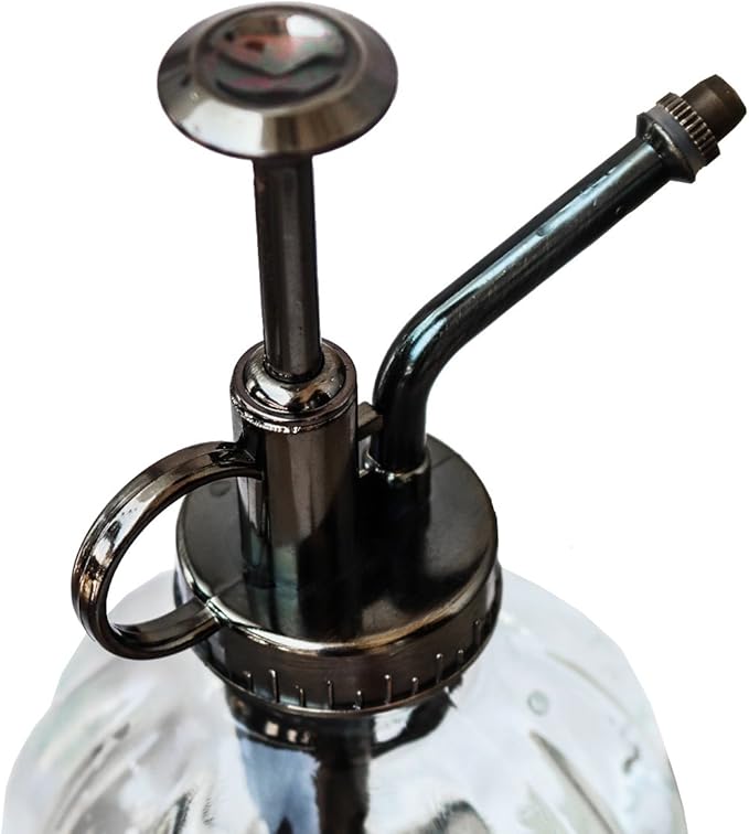 Plant Mister, Glass Watering Spray Bottle with Bronze Top Pump 6.5" Tall Decorative Mister for Plants and Flowers Small Watering Can for Indoor Potted Plants & Terrariums - Clear