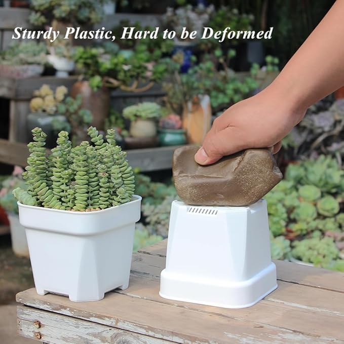 BangQiao 20 Pack 4.75 Inch Small White Plastic Square Nursery and Seedling Pot with Drainage Hole for Germination, Cactus, Herb, Succulent