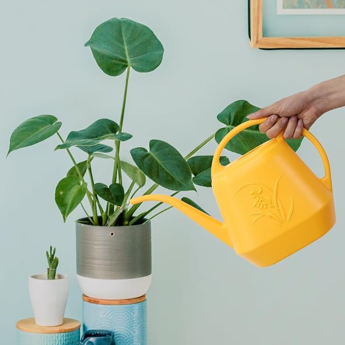 Plant Watering Can - Yellow - 1/2 Gallon