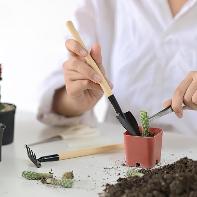 DOITOOL 4 Set Mini Gardening Tools Portable Mini Rake Trowel and Small Shovel for Succulent Bonsai Herbs Planting Terrariums Indoor Gardening Tools