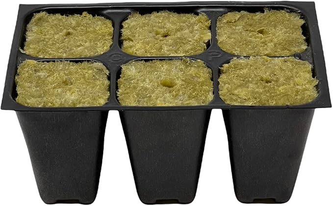 The Hydroponic City Seed Starter Tray, 1440 Cells (240 Trays - 6 Cells Per Tray) + Plant Stakes