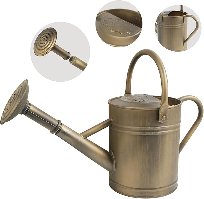 1 Gallon Vintage Bronze Galvanized Metal Watering Can for Indoor/Outdoor Plants,Garden, Balcony for Kids and Adults, Detachable Spout, Retro Rustic Decor (Shadow Patina)