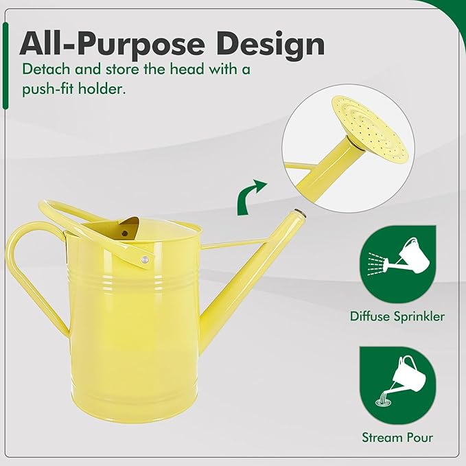 Galvanized Iron Watering Can for Indoor Plants, DIY Watering Cans for House Plant Garden Flower, Long Spout Water Can for Outdoor Watering Plants 6.44L 1.7Gallon (Beige)