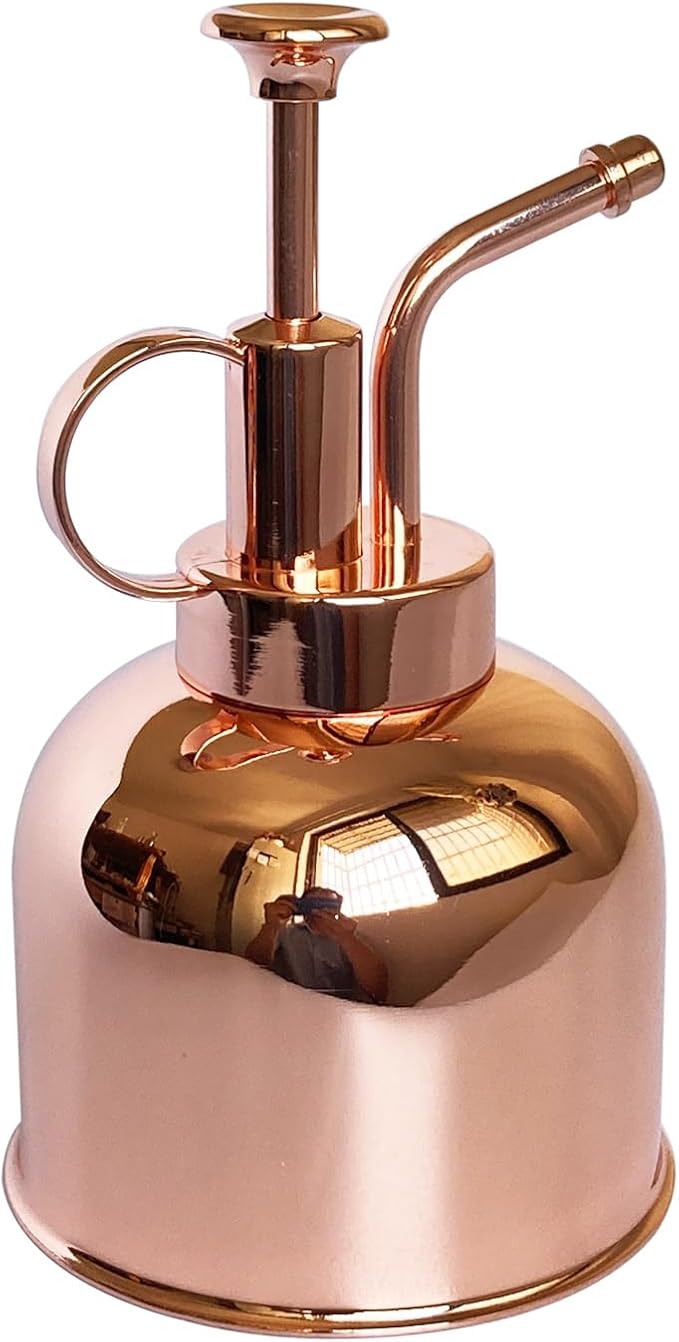 Plant Mister Spray Bottle Stainless steel plant sprayer, small watering can plant spray bottle Modern gardening tools for indoor potted plants watering and spraying