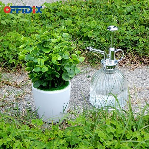 OFFIDIX Glass Spray Bottle for Plants, 6.3" Tall Vintage Style Spritzer with Bronze Plastic Silver Color Top Pump Glass Watering Can for Pet Clearing (Transparent)