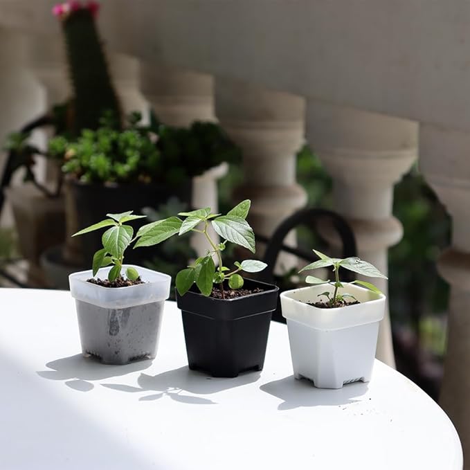 BangQiao 200 Pack 1.95 Inch Tiny White Plastic Square Nursery and Seedling Pot, Mini Transplant Seed Starter Planter with Drain Hole for Germination, Herb, Succulent