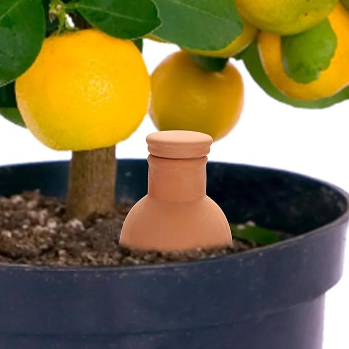 JUXYES 6 Pack Terracotta Self Watering Olla Pots with Lid, 18oz Plant Watering Globes, Terra Cotta Plant Waterer Spikes, Vacation Self Watering Olla Pot Irrigation for Indoor and Outdoor