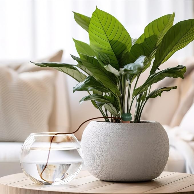 Blumat Classic Self-Watering Stakes - Automatic Drip Irrigation System for Indoor Plant Watering & Outdoor - Water Drip Solution for Potted Plants - Slow Release Stakes, 50 Pack, wo Adapter