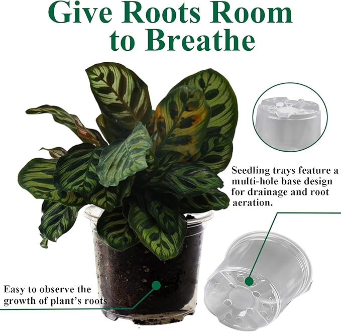 60 Packs Clear Nursery Pots with Drainage Hole 5 Inch Clear Pots for Plants Succulent Plant Pots Set Plastic Seedling Starting Pots Flower pots Planter Seed Starter, Clear