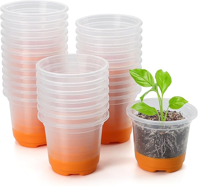 MIXC Thickened Clear Nursery Pots with Silicone Base for Easy Transplant 30 Packs 4 Inch, Transparent Plant Pot Reusable Seedling Pots for Vegetable Propagation, Root Cutting, Seed Starting, Orange