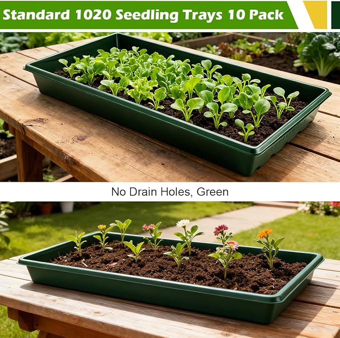 10 Pack 1020 Trays No Holes-Reusable Nursery Flats for 50/72 Cell Plug Tray, Heavy Duty Seed Starter Trays for Transplant, Seed Starting, Plant Propagation & Seed Germination (Dark Green)