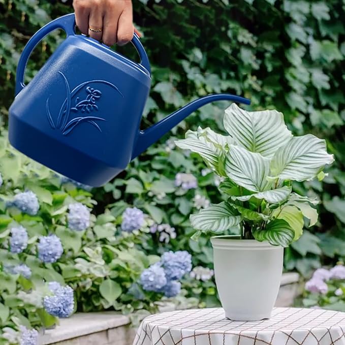 Plant Watering Can - Blue - 1/2 Gallon