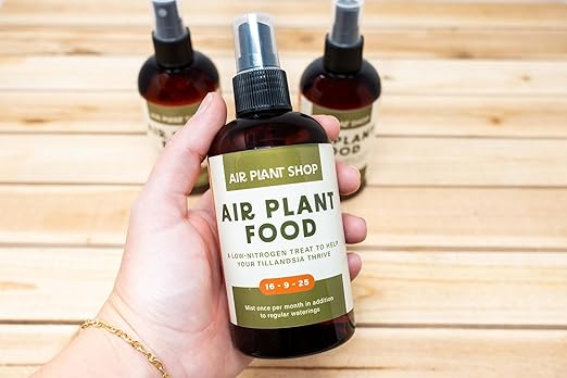 Air Plants Fertilizer in fine Mist Spray Bottle – Plant Food for Tillandsia - Monthly use for Growth of House Plants (1 Pack - 8 OZ)
