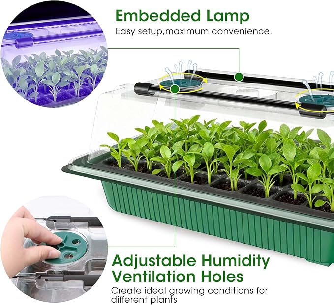 MQUPIN Seed Starter Tray with Grow Light 4 LED, 2 Pack/80 Cells Adjustable Brightness Seed Starter Kit,Seedling Starter Kit with Dome and Base for Greenhouse Seeds Growing Starting(Green)