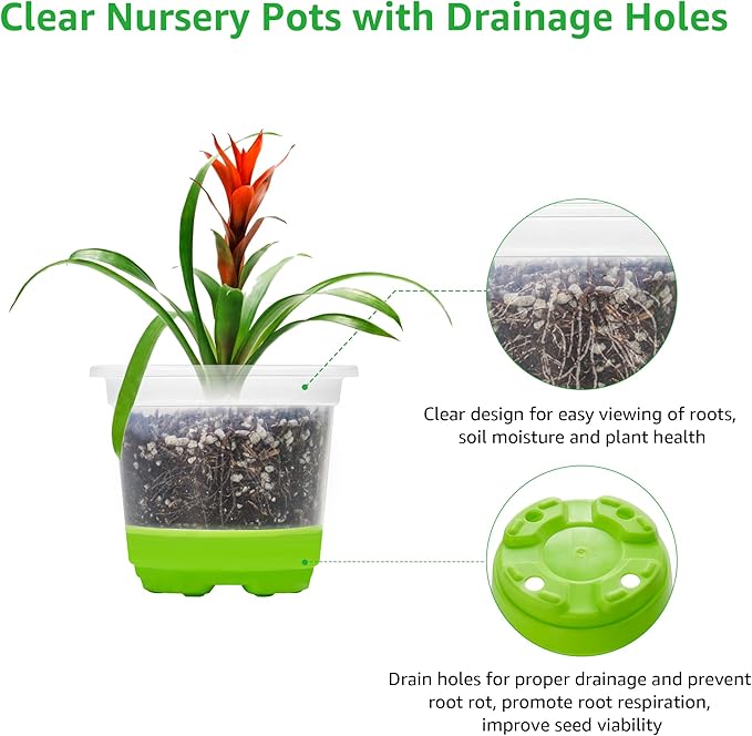 MIXC Thickened Clear Nursery Pots with Silicone Base for Easy Transplant 30 Packs 3.5 Inch, Transparent Plant Pot Reusable Seedling Pots for Vegetable Propagation, Root Cutting, Seed Starting, Green