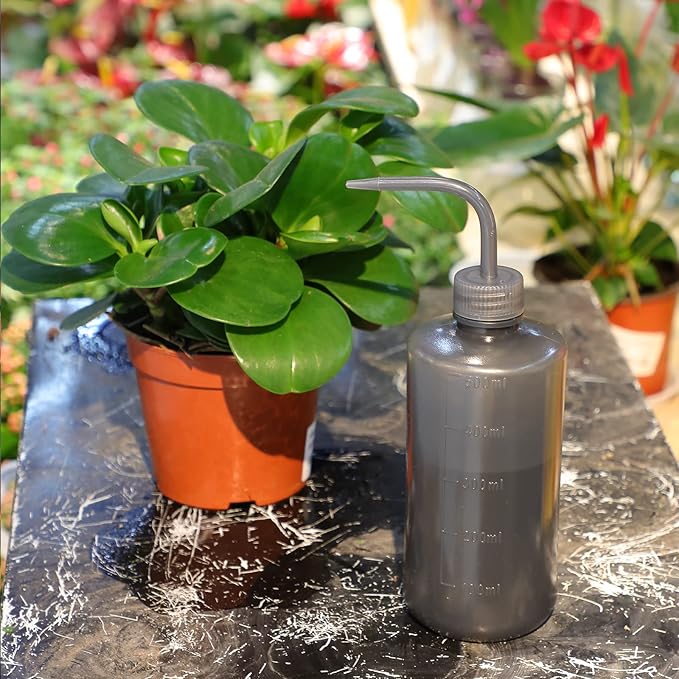 Squeeze Bottles Succulent Watering Bottle Black Water Squirt Irrigation Bottle Squeeze Sprinkling Can Plastic Wash Plant Bottle 500ml 2pc