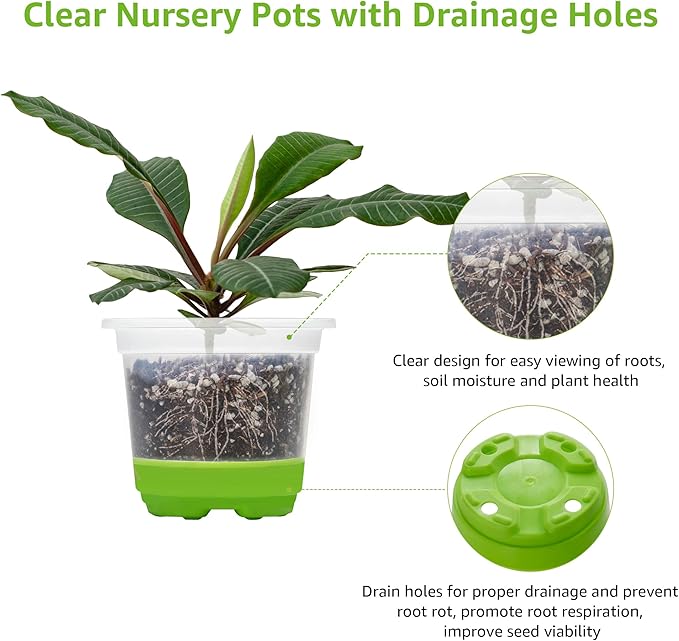 MIXC Thickened Clear Nursery Pots with Silicone Base for Easy Transplant 30 Packs 4 Inch, Transparent Plant Pot Reusable Seedling Pots for Vegetable Propagation, Root Cutting, Seed Starting, Green