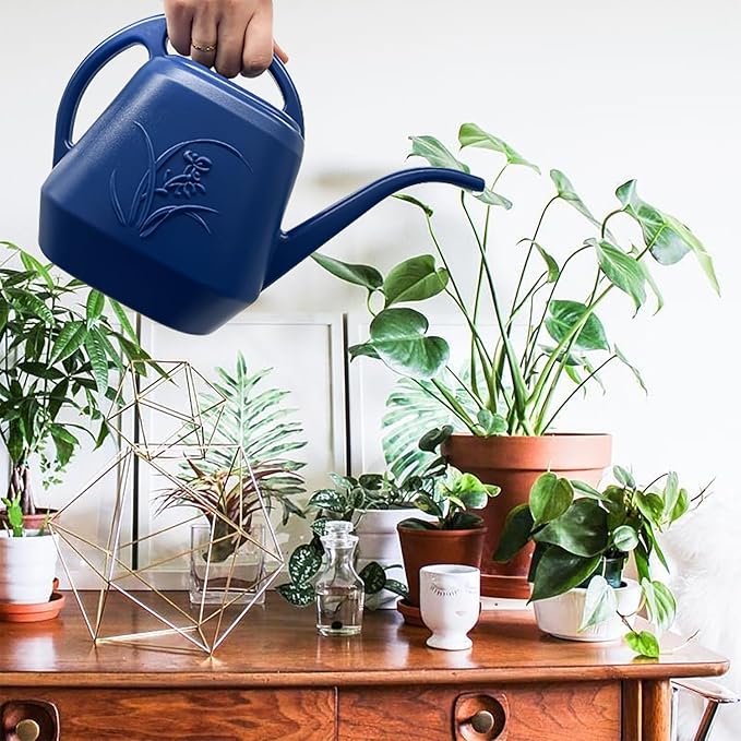 Plant Watering Can - Blue - 1/2 Gallon