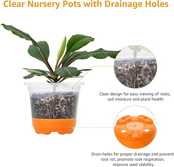 MIXC Thickened Clear Nursery Pots with Silicone Base for Easy Transplant 30 Packs 4 Inch, Transparent Plant Pot Reusable Seedling Pots for Vegetable Propagation, Root Cutting, Seed Starting, Orange