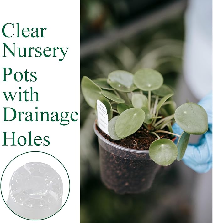 30 Packs Clear Nursery Pots with Drainage Hole 3.5 Inch Clear Pots for Plants Succulent Plant Pots Set Plastic Seedling Starting Pots Flower pots Planter Seed Starter, Clear