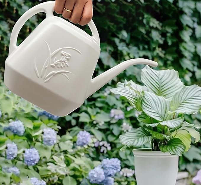 Plant Watering Can - 1/2 Gallon - White Color