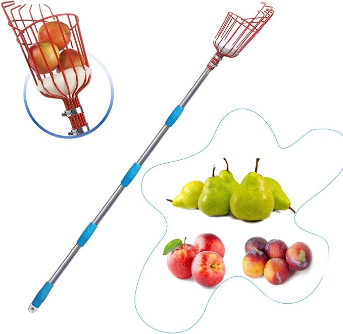 HOSKO 8FT Fruit Picker Pole, Lightweight High-Grade Stainless Steel Adjustable Apple Picker Pole with Metal Twist-on Basket, Suit for Apple Pear Cherry Mango Guava Orange Avocados Etc Fruit Picking