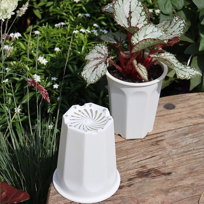 BangQiao 10 Pack 5.30 Inch White Plastic Deep Nursery Pot and Seedling Planter for Succulent, Cutting, Transplanting