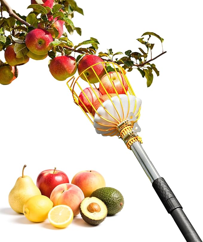 6.5FT Fruit Picker with Basket, Apple Picking Tool 35–77 Inch Adjustable Pole, Long-Handle Mango Grabber, Tree Fruit Catcher for Harvesting Lemon Pear Orange Avocado Peach Citrus Grapefruit