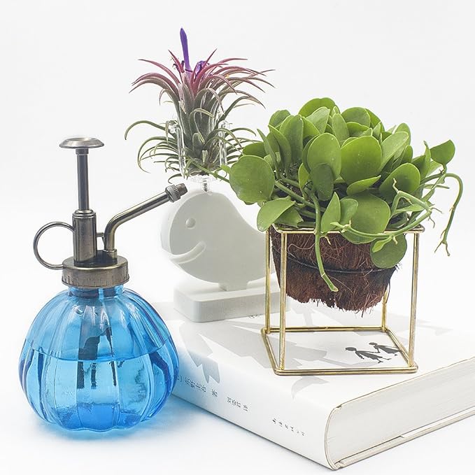 Plant Mister, 6.5" Tall Vintage Style Decorative Glass Water Spray Bottle with Top Pump Small Watering Can (Blue)