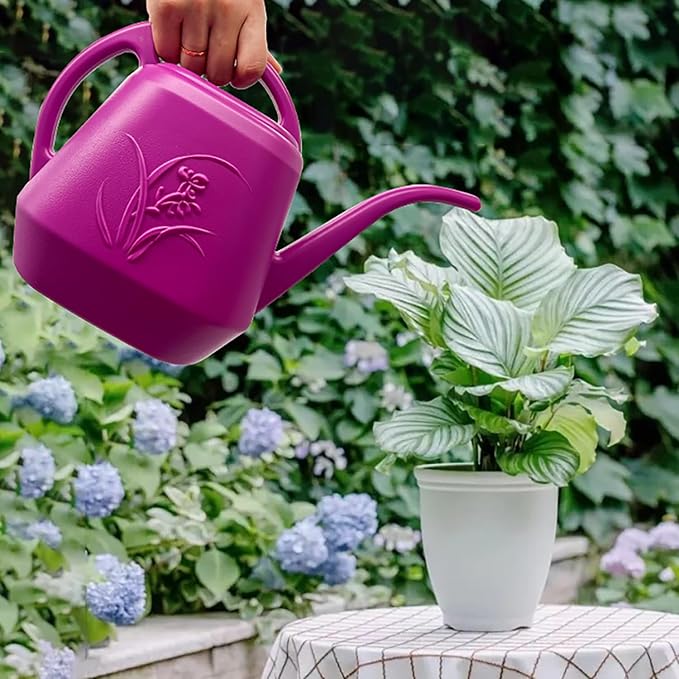 Plant Watering Can - 1/2 Gallon - Rose Red