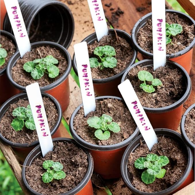 TDHDIKE Plastic Planter Nursery Pots 4" Small (50pcs) Seedlings Flower Pots Container Seed Starting Pots for Plants Come with 50pcs Labels