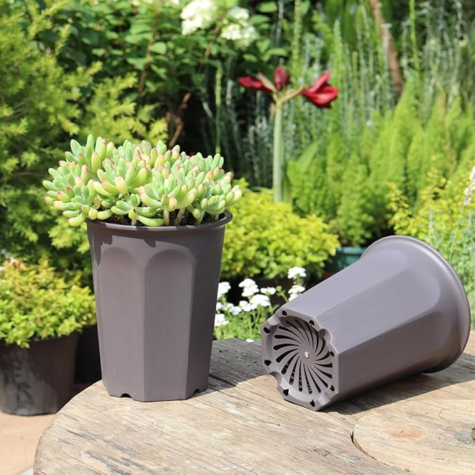 BangQiao 8 Pack 6.10 Inch Plastic Deep Nursery and Seedling Pots, Round Transplant Seed Starter Planter, Gray Color